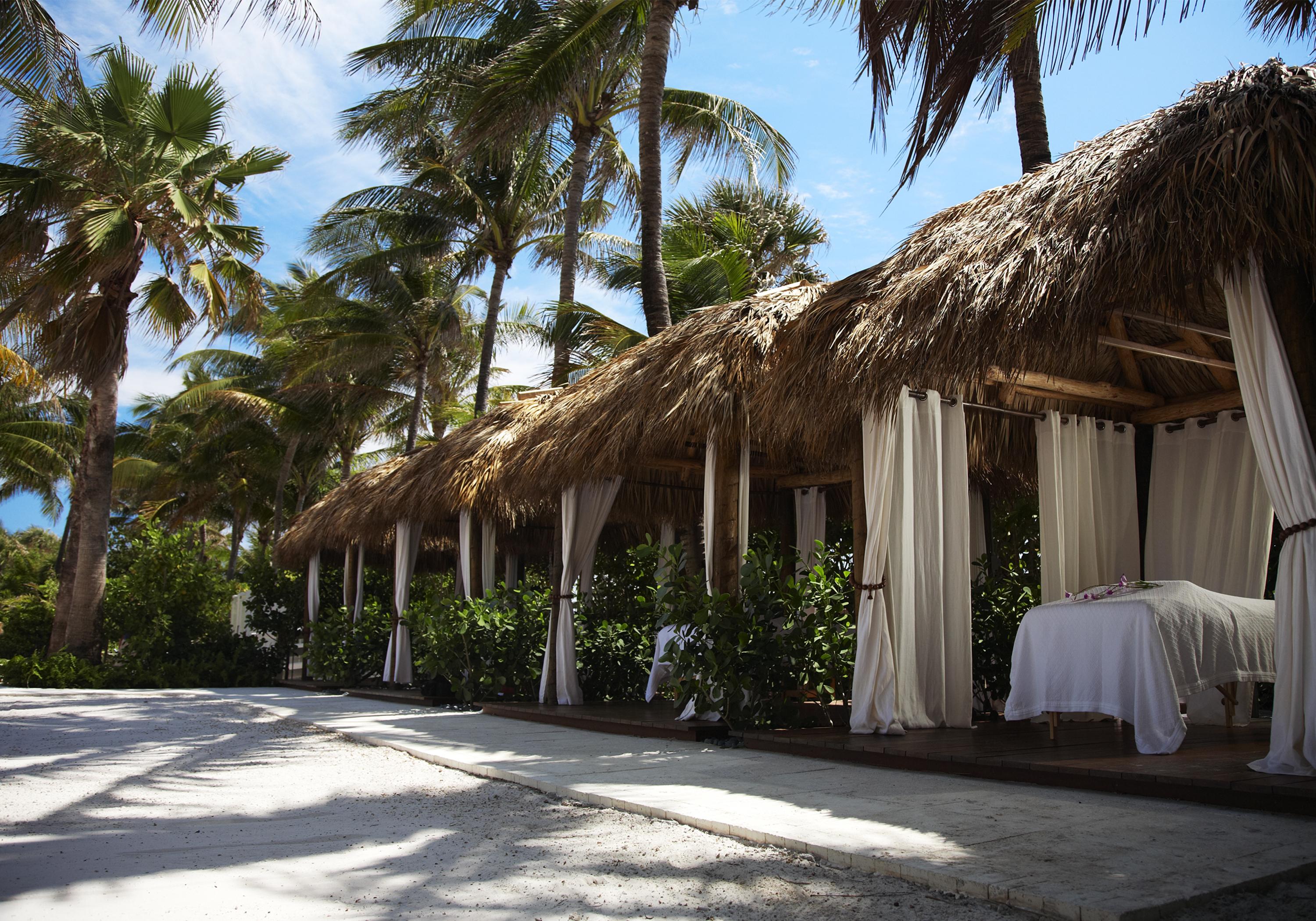 The Palms Hotel & Spa Miami Beach Facilities photo